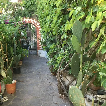 Apartamento Casa Hibiscus